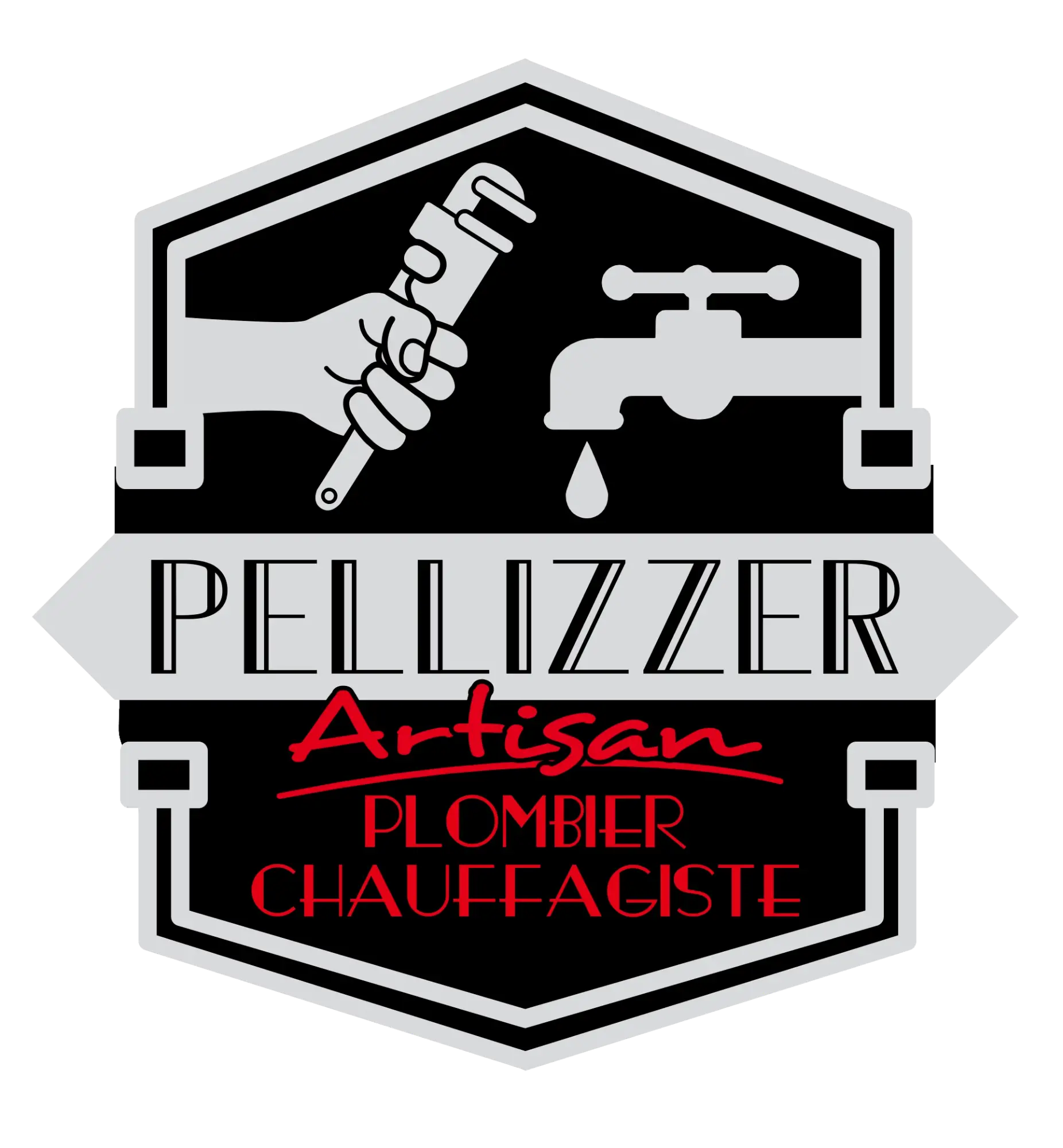 logo pellizzer
